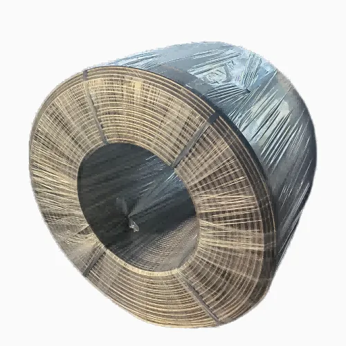 CaSi südamikuga traat